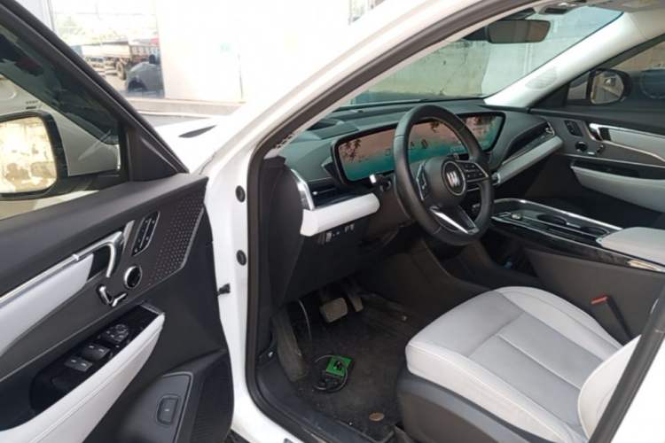 Used Buick E5 2023 Zhenxiang Standard Range Edition Driver Seat