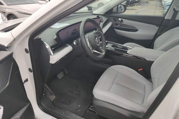 Used Buick E5 2023 Zhenxiang Standard Range Edition Driver Seat