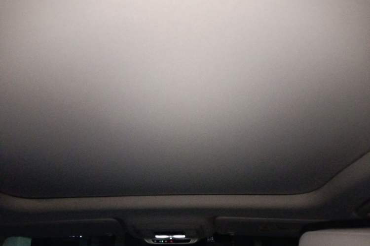 Used Buick E5 2023 Zhenxiang Standard Range Edition Headliner