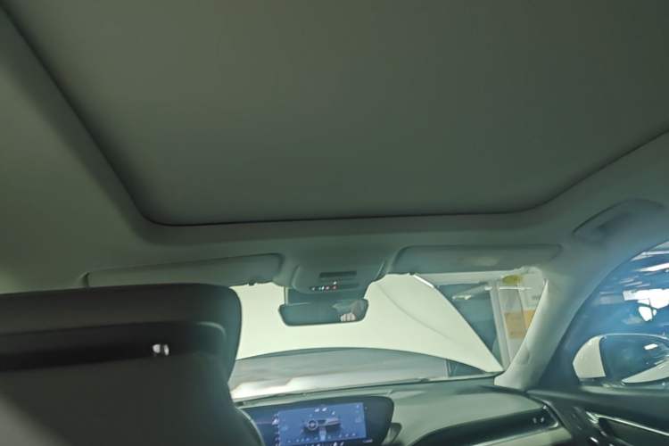 Used Buick E5 2023 Premium Long-Range Version Headliner