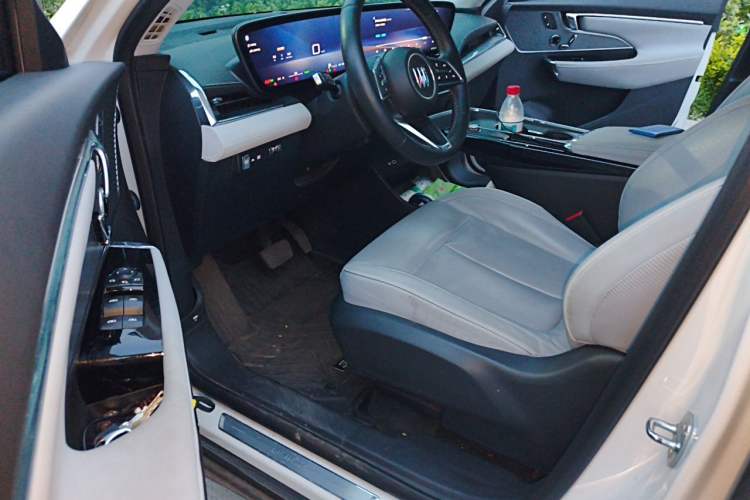 Used Buick E5 2023 Zhenxiang Standard Range Edition Left Front Seat