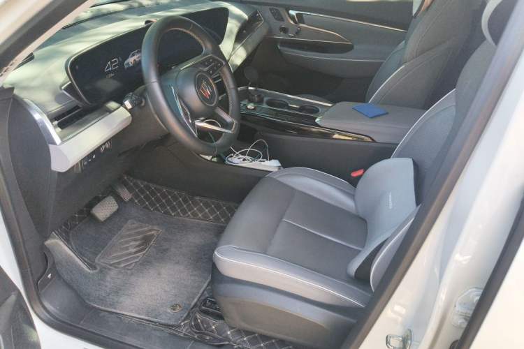 Used Buick E5 2023 Zhenxiang Standard Range Edition Left Front Seat
