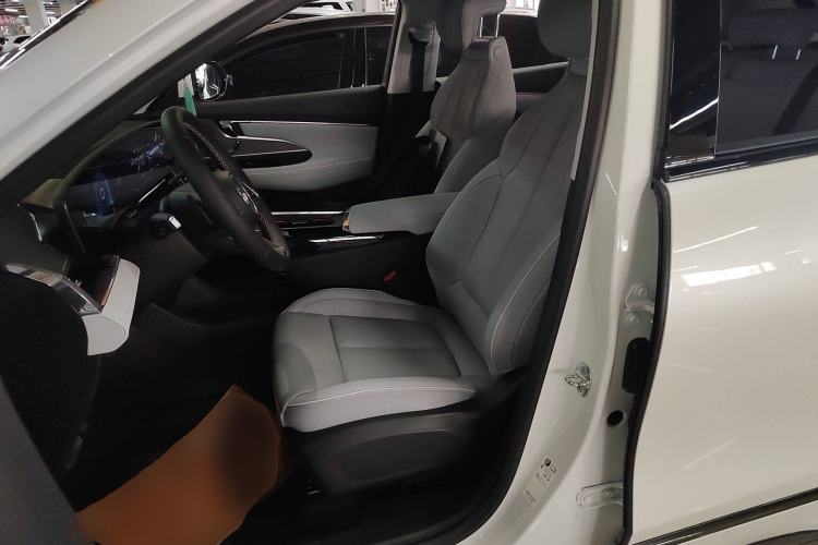Used Buick E5 2023 Zhenxiang Standard Range Edition Left Front Seat