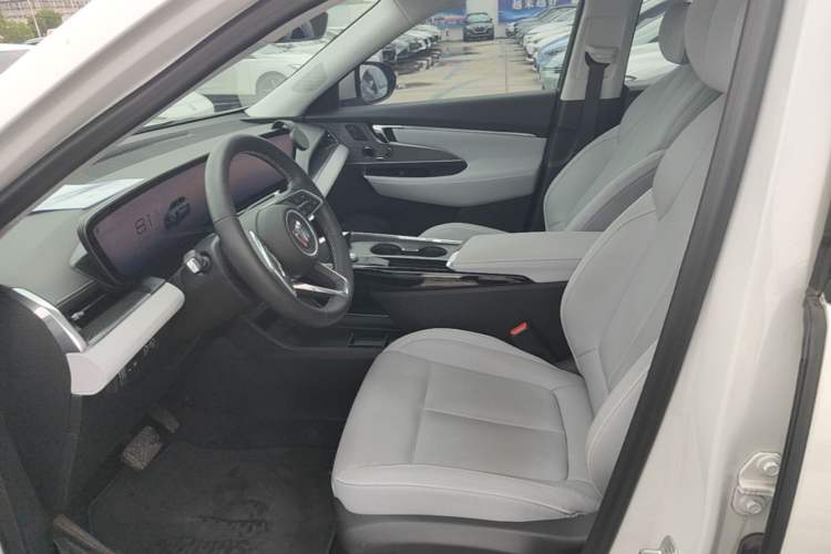 Used Buick E5 2023 Zhenxiang Standard Range Edition Left Front Seat