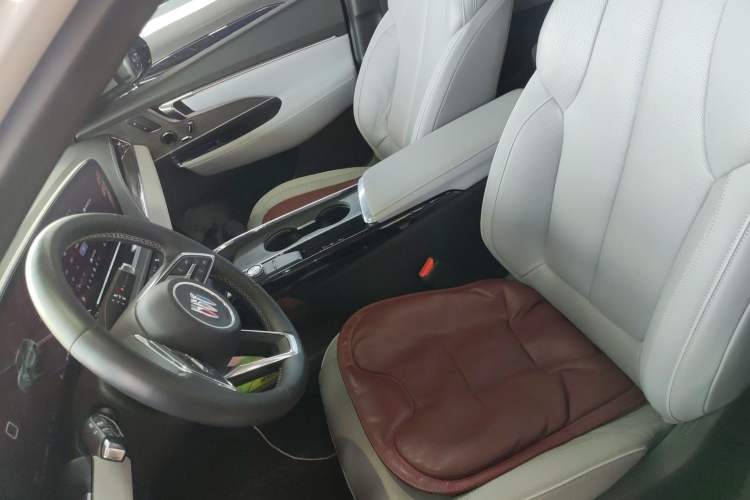 Used Buick E5 2023 Zhenxiang Standard Range Edition Left Front Seat