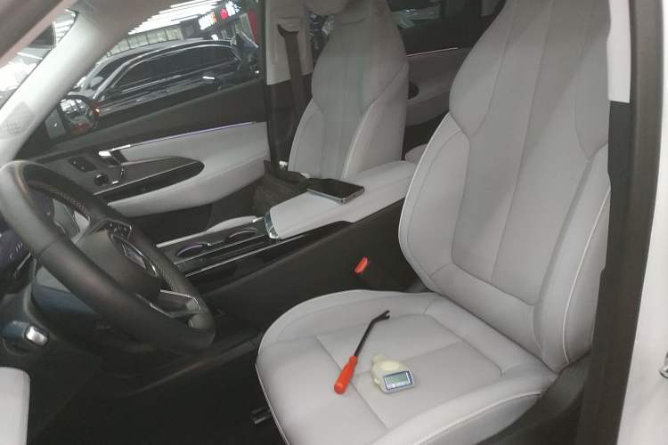 Used Buick E5 2023 Zhenxiang Standard Range Edition Left Front Seat