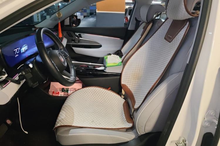 Used Buick E5 2023 Zhenxiang Standard Range Edition Left Front Seat