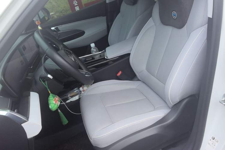Used Buick E5 2023 Zhenxiang Standard Range Edition Left Front Seat