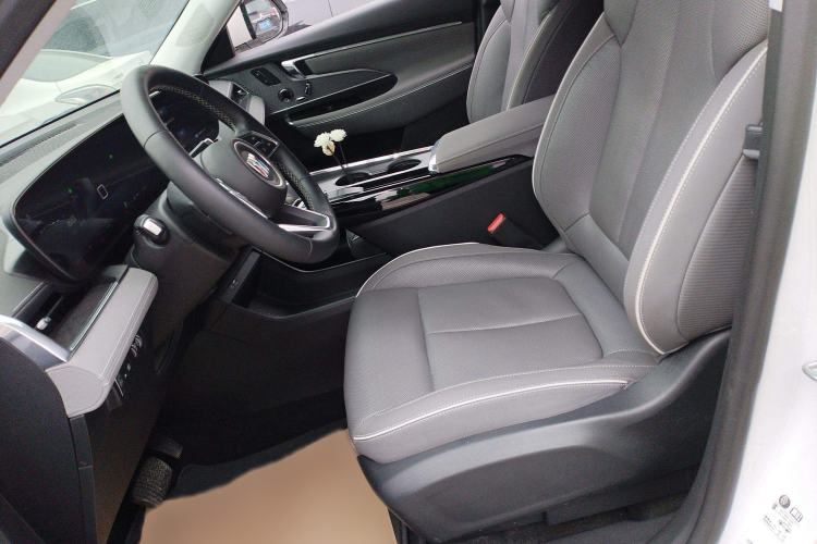 Used Buick E5 2023 Zhenxiang Standard Range Edition Left Front Seat