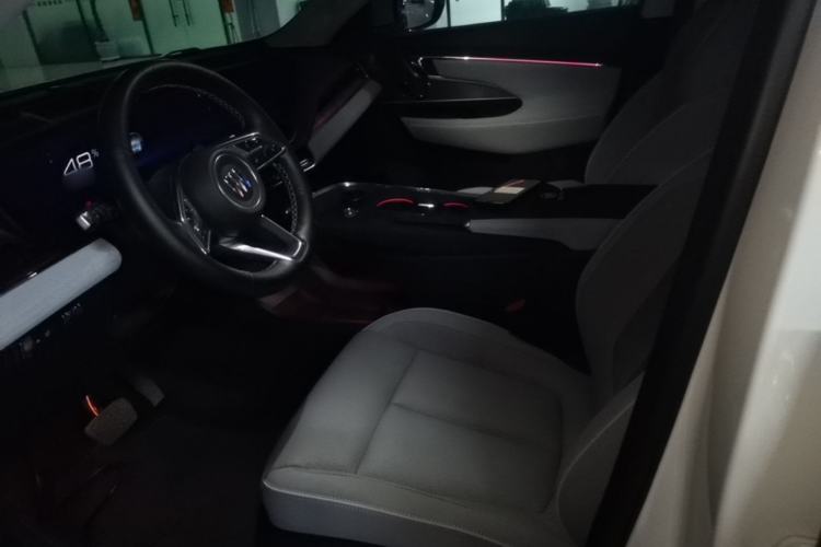 Used Buick E5 2023 Zhenxiang Standard Range Edition Left Front Seat