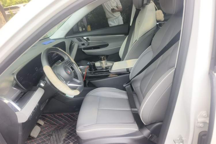Used Buick E5 2023 Zhenxiang Standard Range Edition Left Front Seat