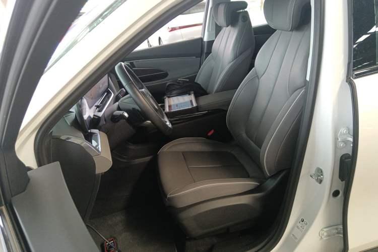 Used Buick E5 2023 Zhenxiang Standard Range Edition Left Front Seat