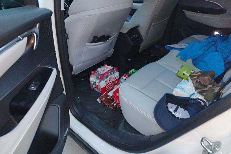 Used Buick E5 2023 Zhenxiang Standard Range Edition Left Rear Seat