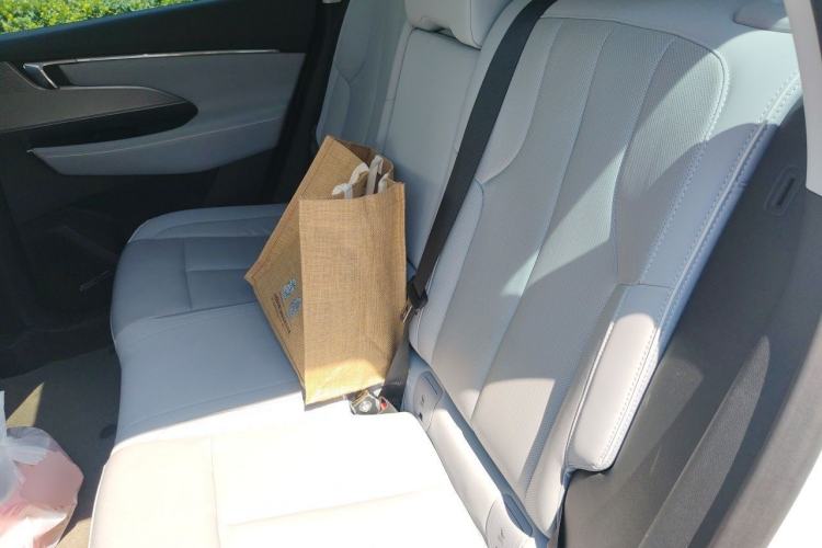 Used Buick E5 2023 Premium Long-Range Version Left Rear Seat