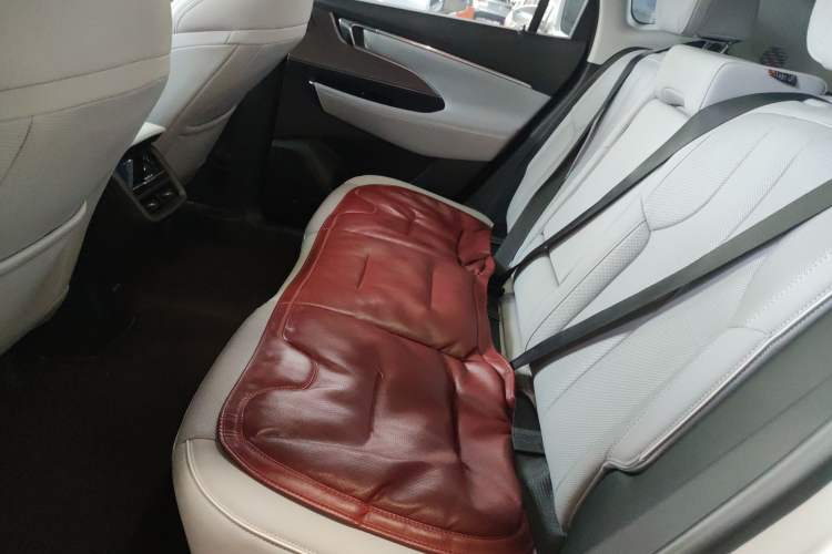 Used Buick E5 2023 Zhenxiang Standard Range Edition Left Rear Seat