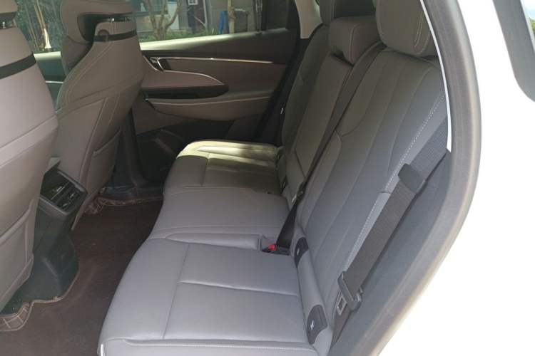 Used Buick E5 2023 Zhenxiang Standard Range Edition Left Rear Seat