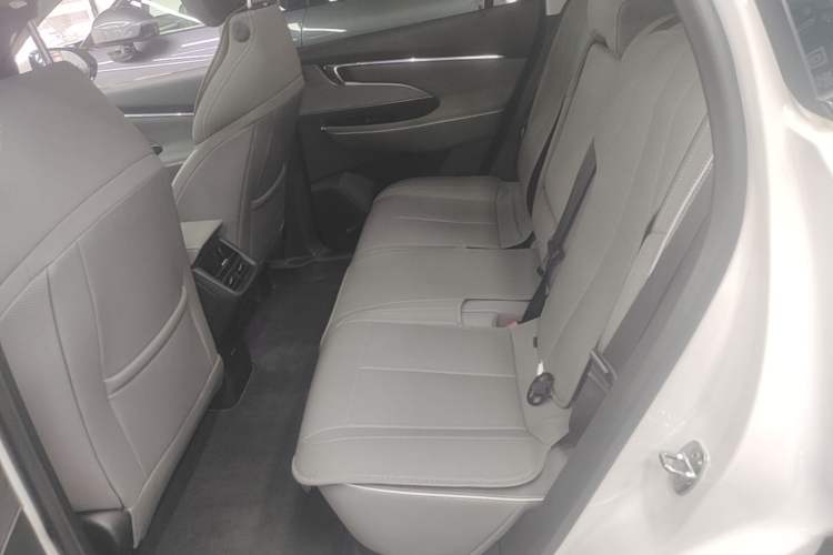Used Buick E5 2023 Zhenxiang Standard Range Edition Left Rear Seat