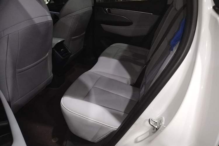 Used Buick E5 2023 Premium Long-Range Version Left Rear Seat