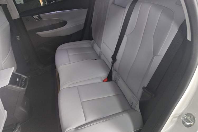 Used Buick E5 2023 Zhenxiang Standard Range Edition Left Rear Seat