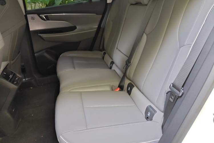 Used Buick E5 2023 Zhenxiang Standard Range Edition Left Rear Seat
