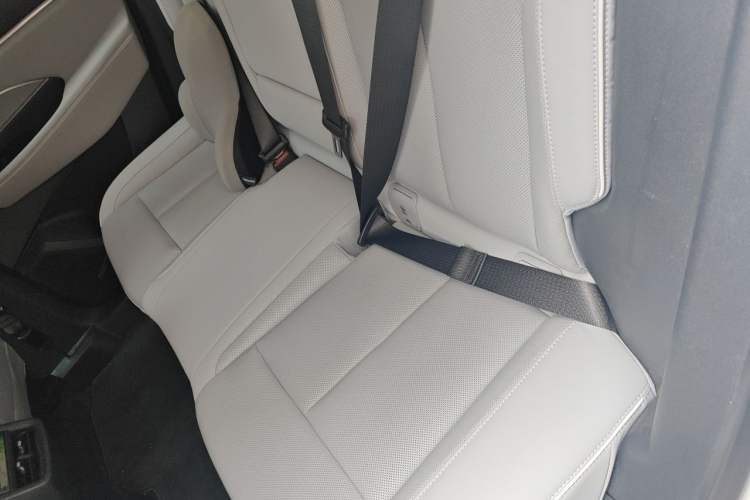 Used Buick E5 2023 Zhenxiang Standard Range Edition Left Rear Seat