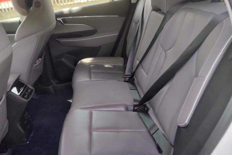 Used Buick E5 2023 Zhenxiang Standard Range Edition Left Rear Seat