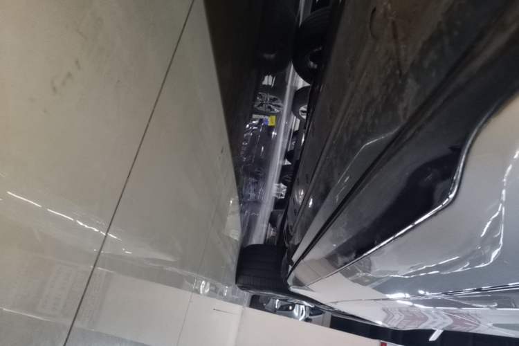 Used Buick E5 2023 Zhenxiang Standard Range Edition Left Side Sill
