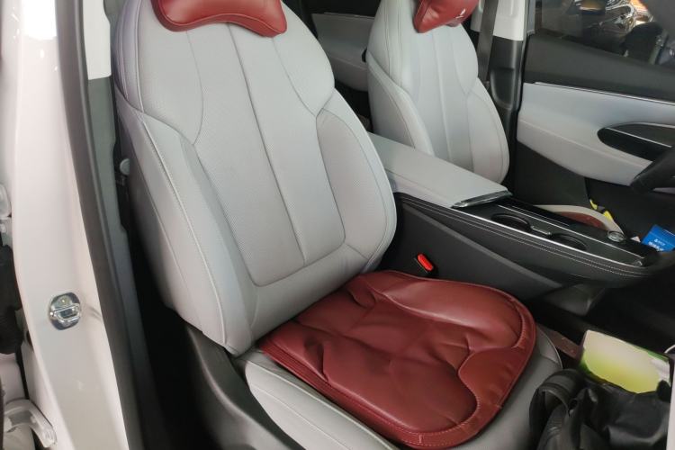 Used Buick E5 2023 Zhenxiang Standard Range Edition Right Front Seat