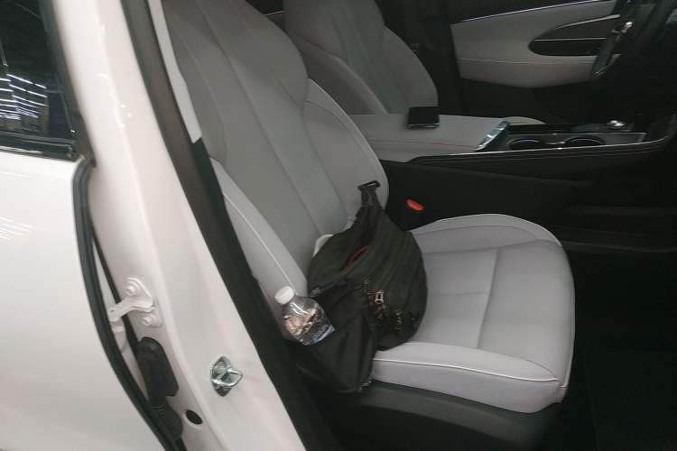 Used Buick E5 2023 Zhenxiang Standard Range Edition Right Front Seat