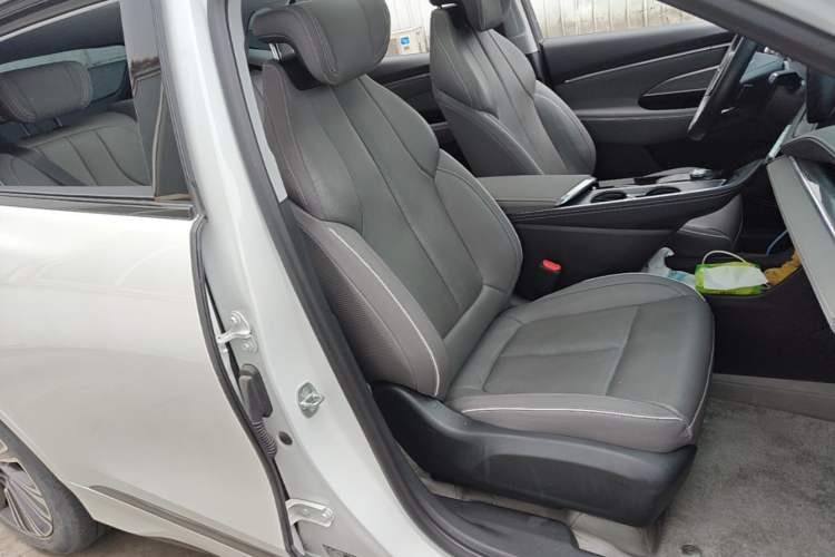 Used Buick E5 2023 Zhenxiang Standard Range Edition Right Front Seat