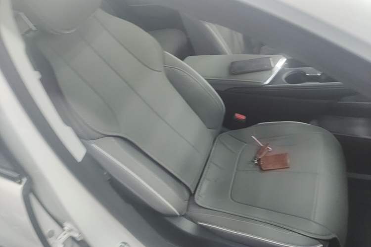 Used Buick E5 2023 Zhenxiang Standard Range Edition Right Front Seat