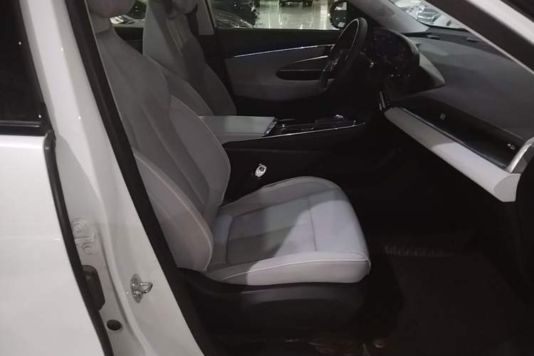 Used Buick E5 2023 Premium Long-Range Version Right Front Seat