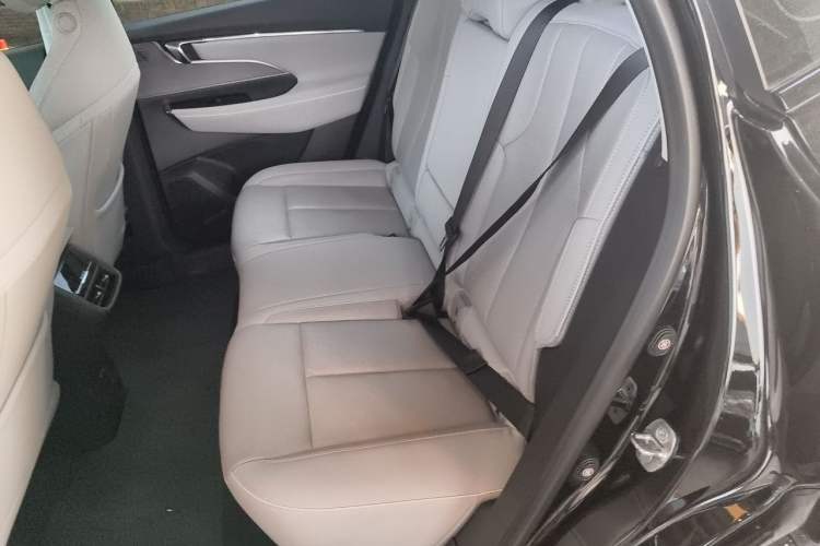 Used Buick E5 2024 Premium Standard-Range Audiovisual Edition Left Rear Seat
