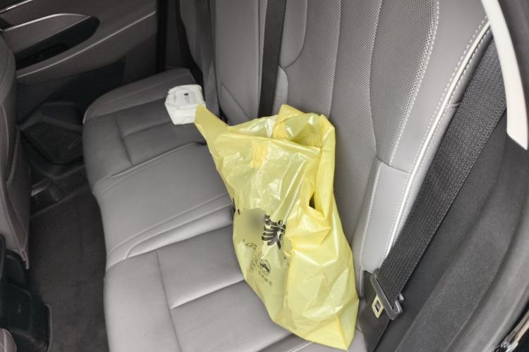 Used Buick E5 2024 Premium Standard-Range Audiovisual Edition Left Rear Seat