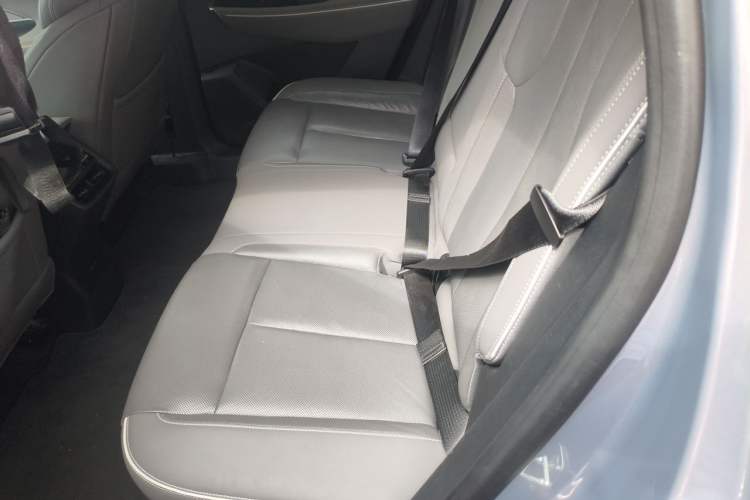 Used Buick E5 2024 Premium Standard-Range Audiovisual Edition Left Rear Seat