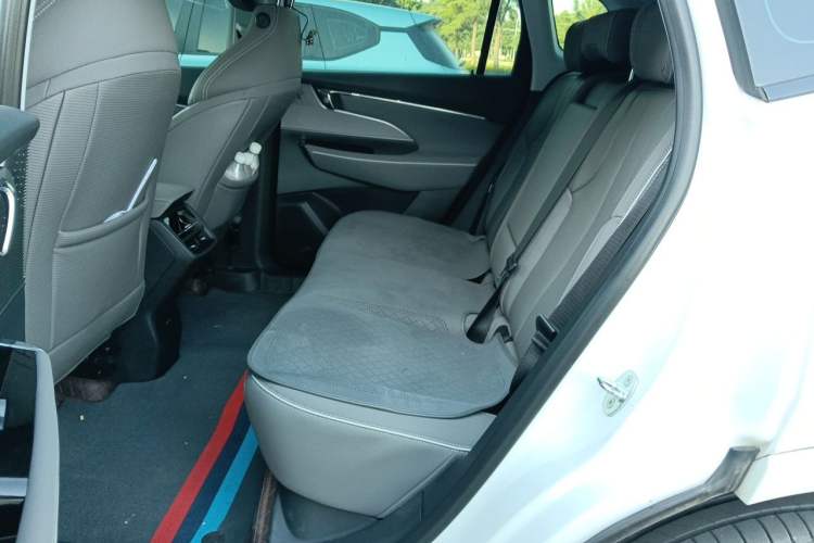 Used Buick E5 2024 Premium Standard-Range Audiovisual Edition Left Rear Seat