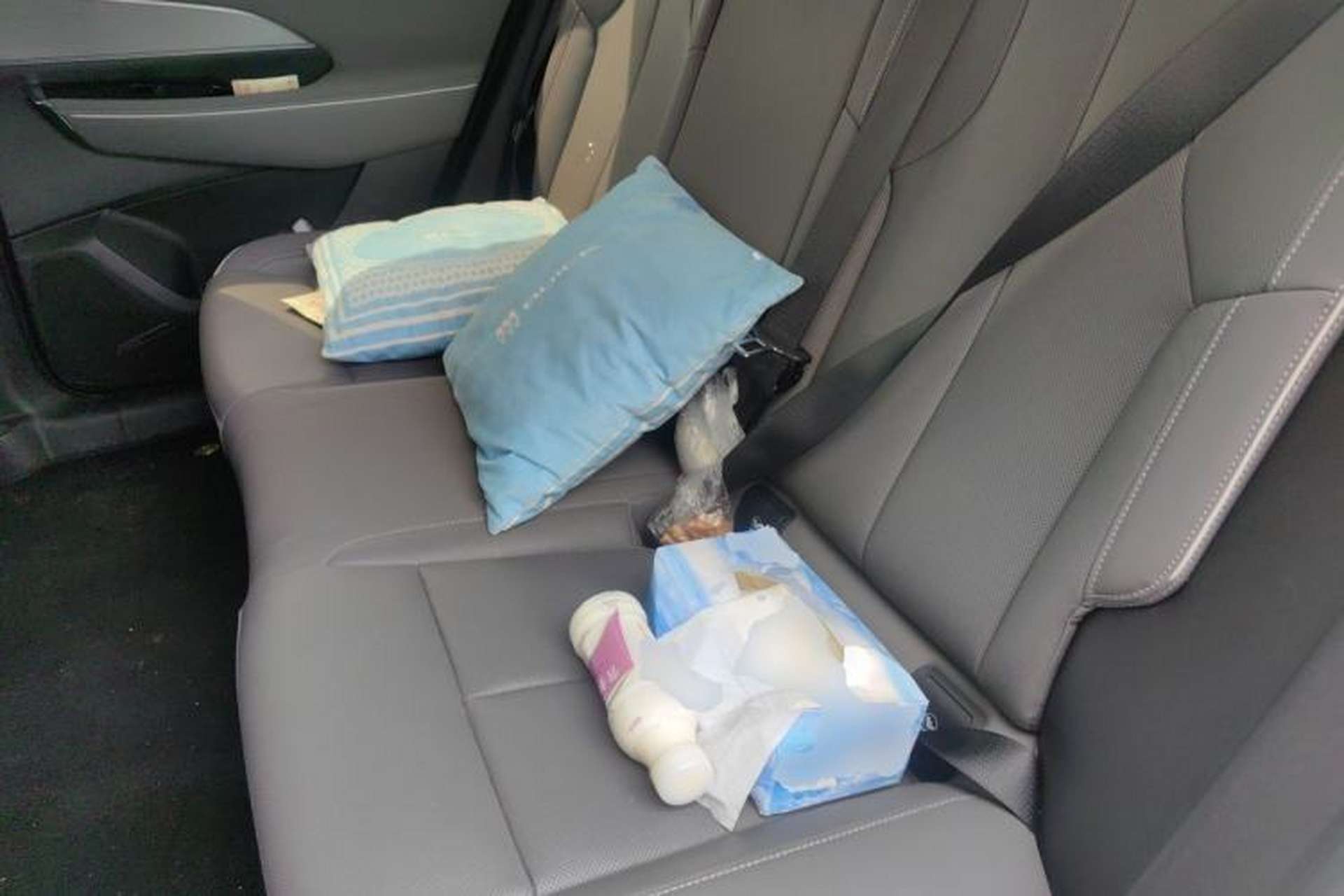 Used Buick E5 2024 Premium Standard-Range Audiovisual Edition Left Rear Seat