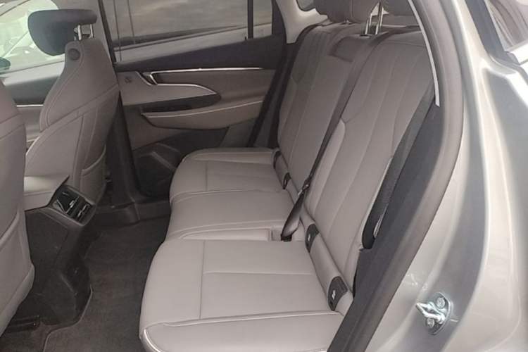 Used Buick E5 2025 Model 620KM Prestige Edition Left Rear Seat