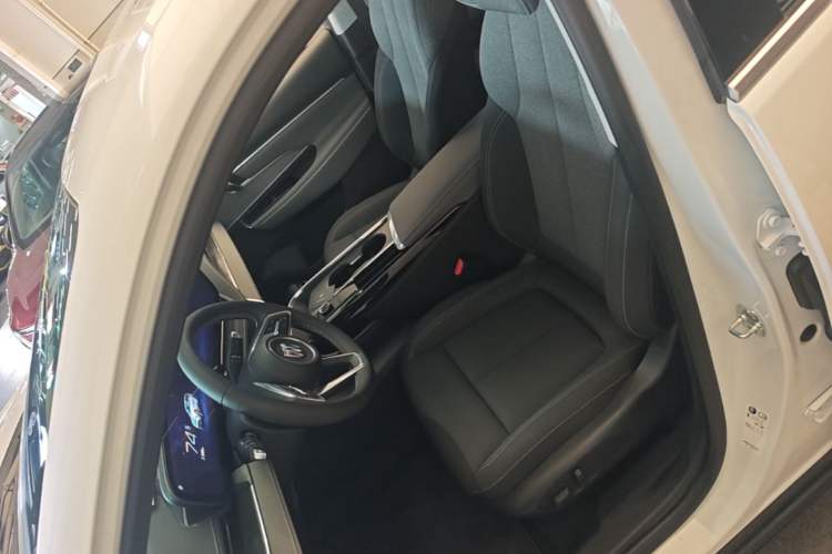 Used Buick E5 2025 Model 515KM First-Adoption Edition Left Front Seat