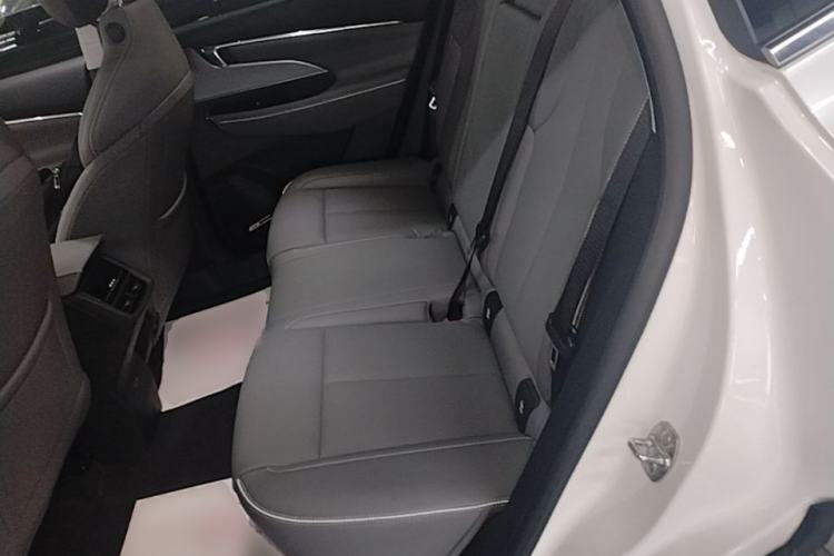 Used Buick E5 2025 Model 620KM Prestige Edition Left Rear Seat