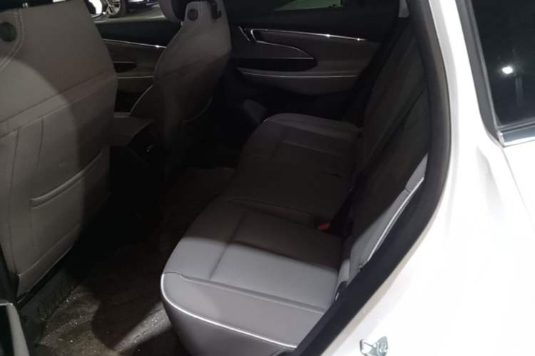Used Buick E5 2025 Model 545KM Smart Enjoyment Edition Left Rear Seat