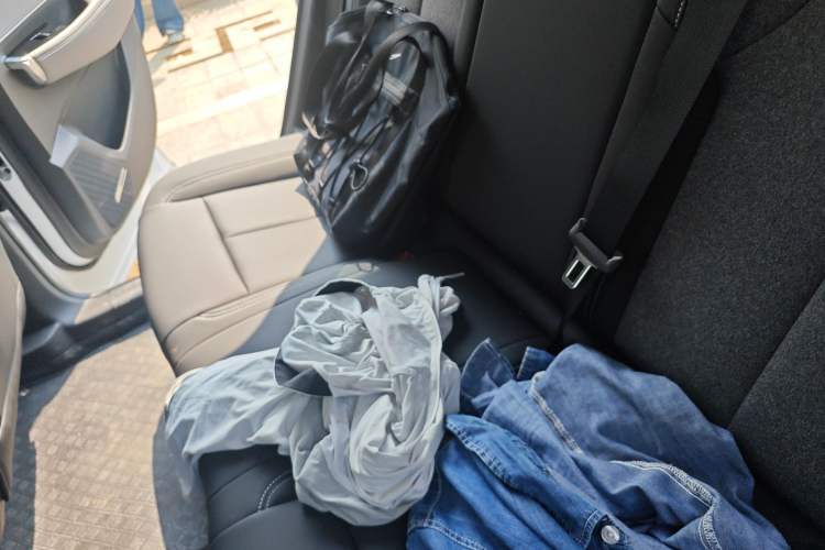 Used Buick E5 2025 Model 515KM First-Adoption Edition Left Rear Seat