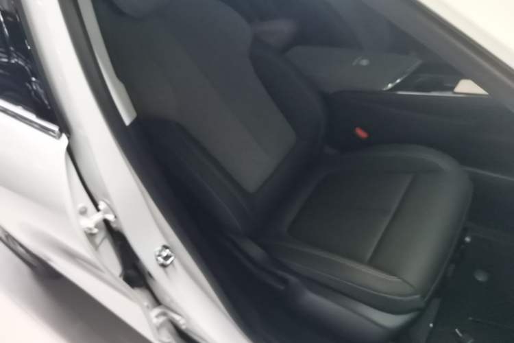 Used Buick E5 2025 Model 515KM First-Adoption Edition Right Front Seat