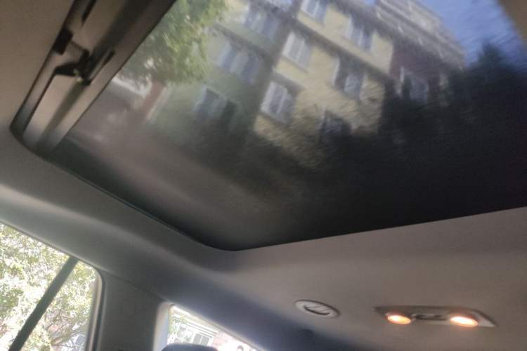 Used Buick Enclave 2009 3.6L CXL1 Elite Edition Headliner