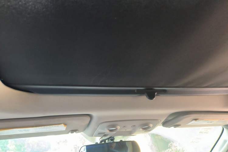 Used Buick Enclave 2010 3.6L Elite Edition Headliner