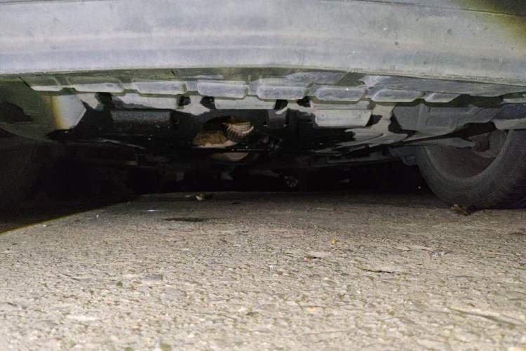 Used Buick Encore 2013 1.4T Automatic Two-Wheel Drive Elite Model Chassis Front