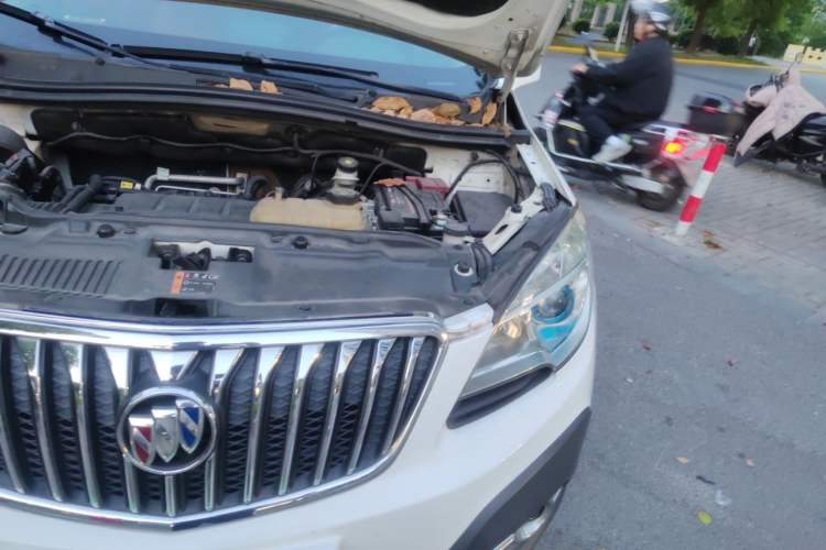 Used Buick Encore 2013 1.4T Automatic Two-Wheel Drive Leading Model Engine Bay Left