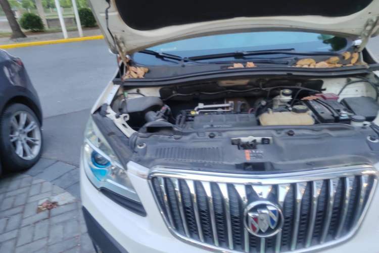 Used Buick Encore 2013 1.4T Automatic Two-Wheel Drive Leading Model Engine Bay Right