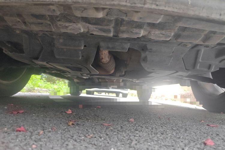 Used Buick Encore 2014 1.4T Automatic Two-Wheel Drive Urban Elite Model Chassis Front