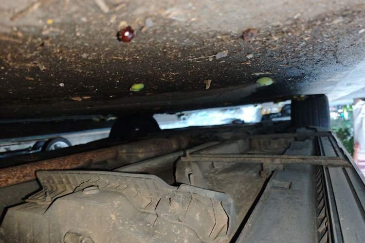 Used Buick Encore 2014 1.4T Automatic Two-Wheel Drive Urban Elite Model Chassis Rear